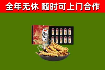 来宾市烟酒回收冬虫夏草礼盒.jpg