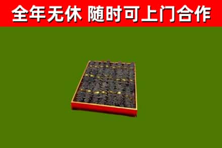 来宾市回收海参
